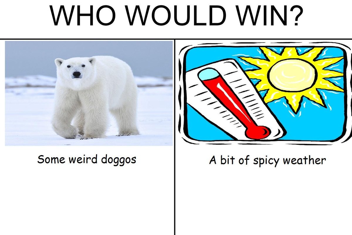 WHO Some weird doggos A bit of spicy weather