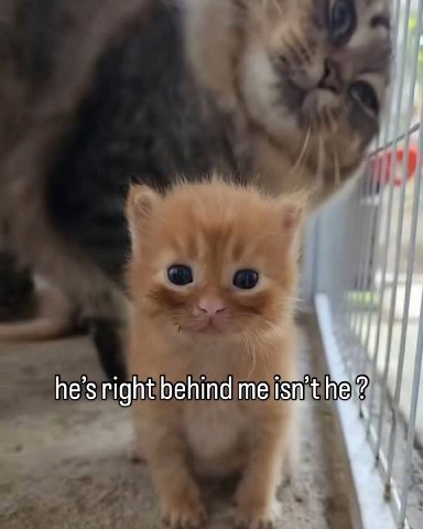 he’s right behind me