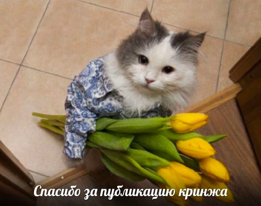 Спасидо за публикацию кринжа