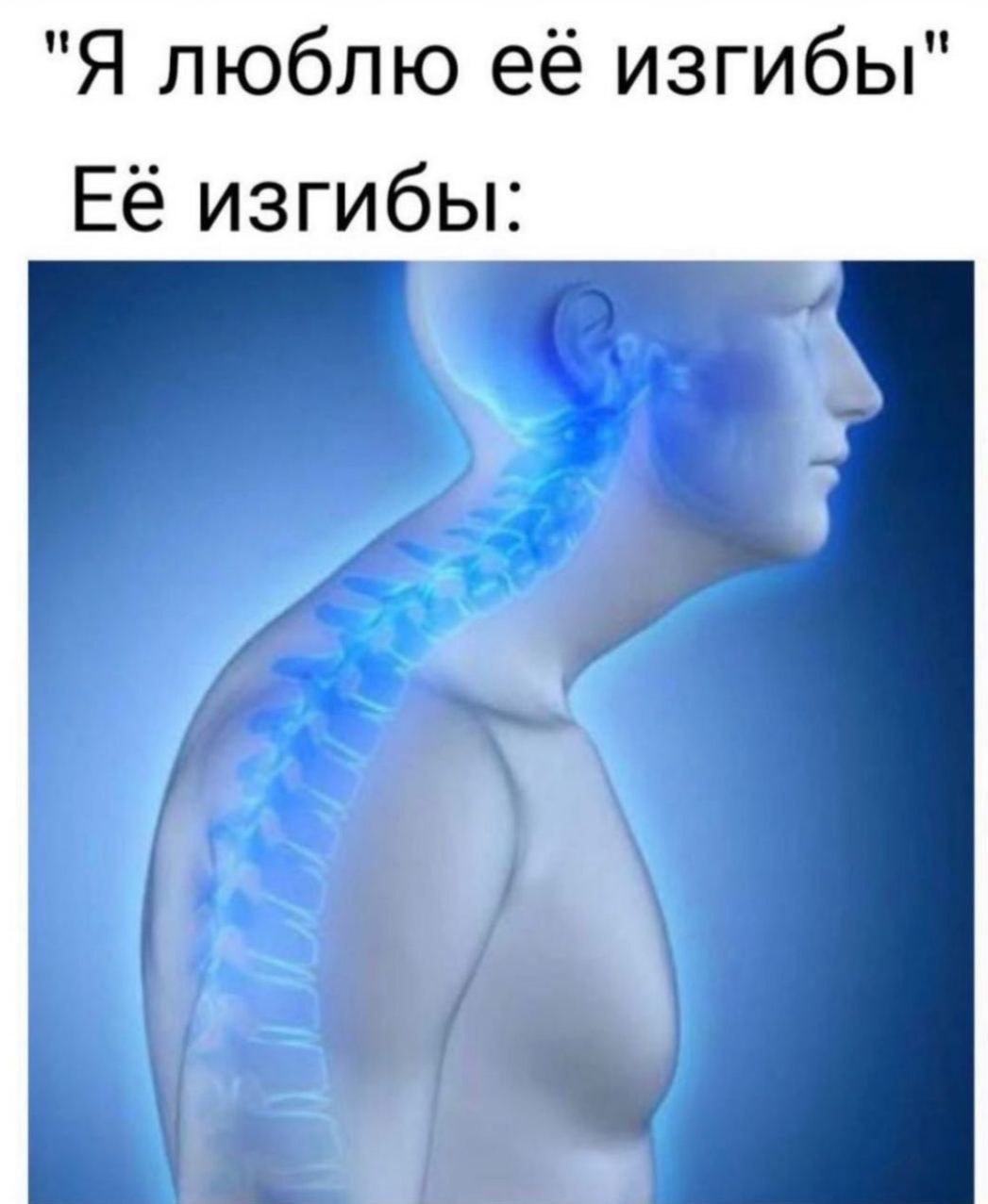 "Я люблю её изгибы" Её изгибы: