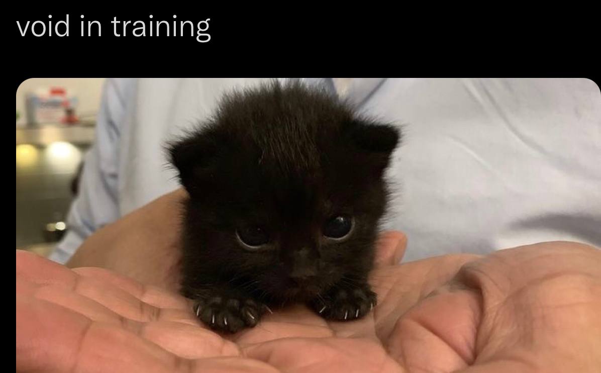 void in training