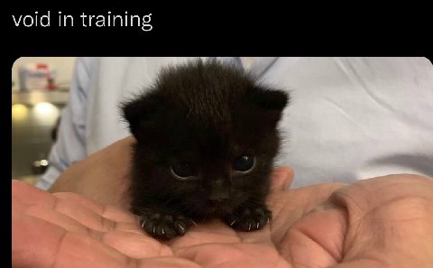 void in training