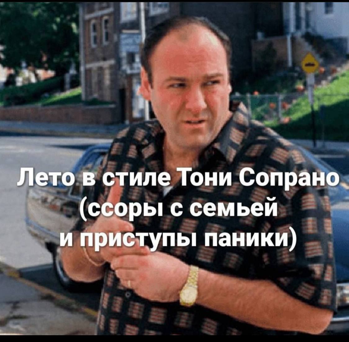 Лето в стиле Тони Сопрано. (ссоры с семьей и приступы паники) a