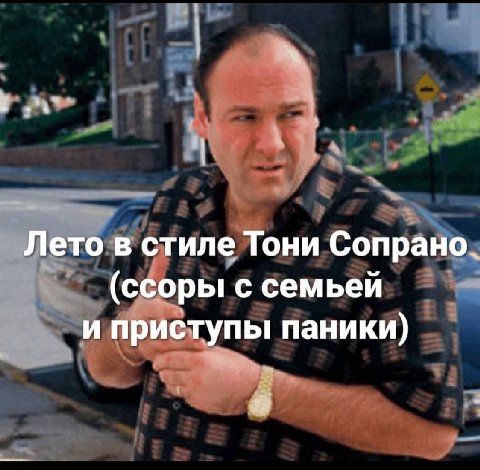 Лето в стиле Тони Сопрано. (ссоры с семьей и приступы паники) a