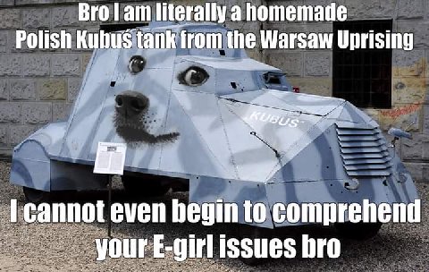 Вто Гат literally а homemade Polish Kubus tank from the Warsaw Uprising cannot even hegin to comprehend E-girl issues bro