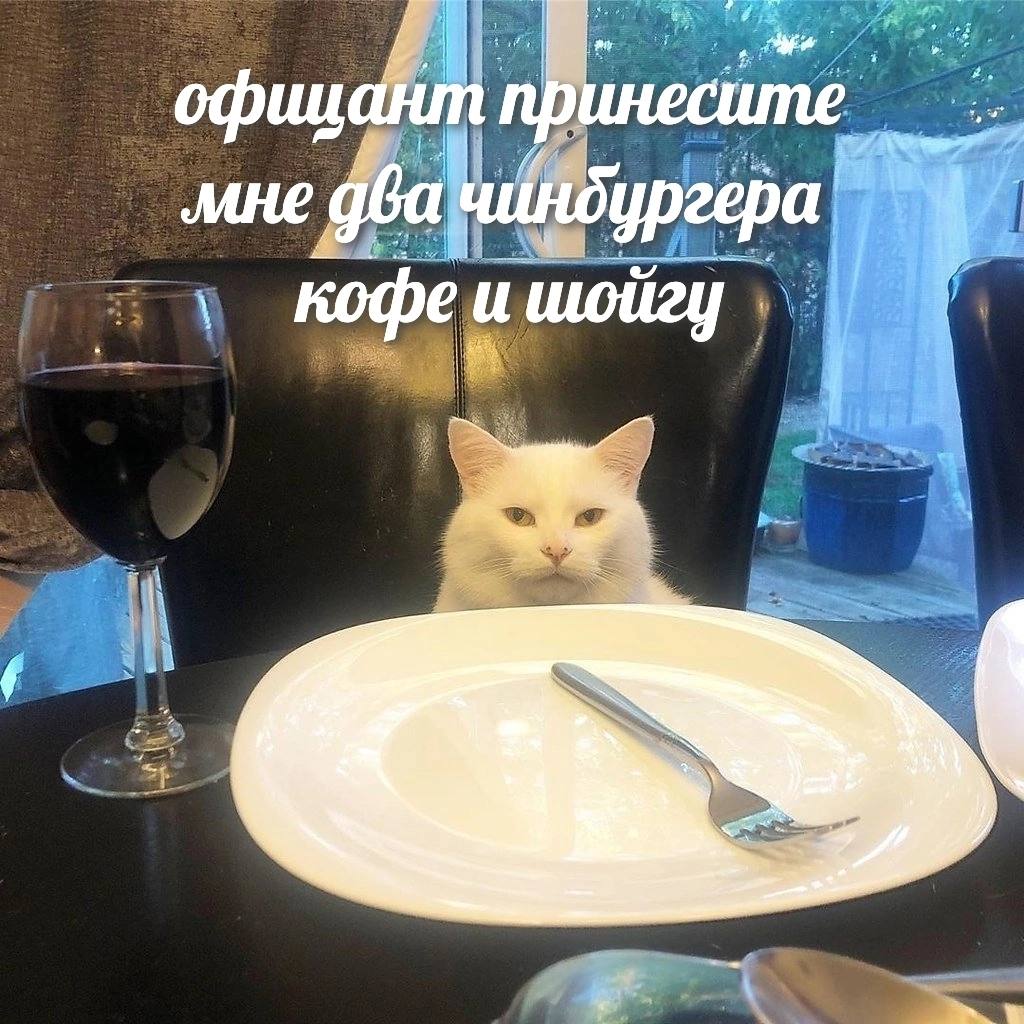 принесите мне gba чиндургера кофе и