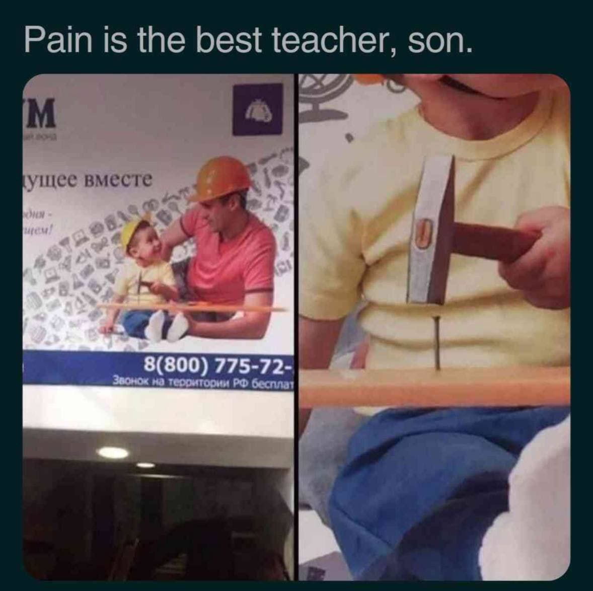 Pain is the best teacher, son. щее вместе A 8(800) 775-72- бесплат