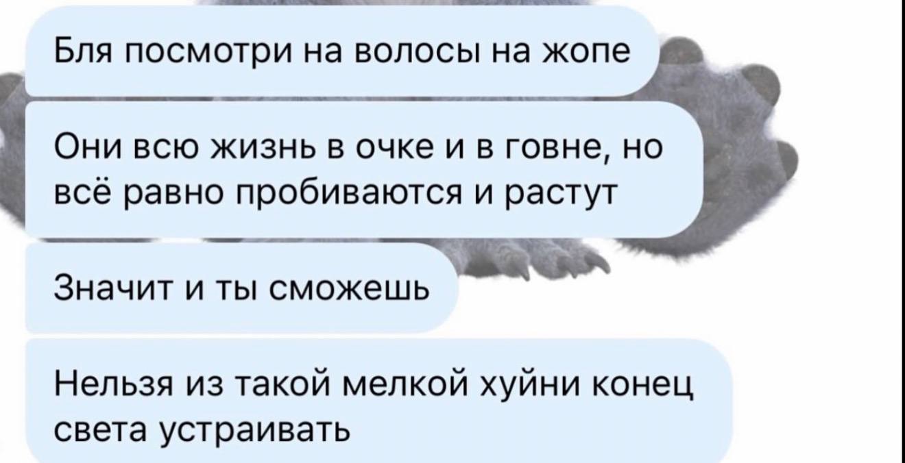 Бля посмотри на волосы на жопе Они всю жизнь в очке и в говне, но всё равно пробиваются и растут Значит и ты сможешь Нельзя из такой мелкой хуйни конец света устраивать