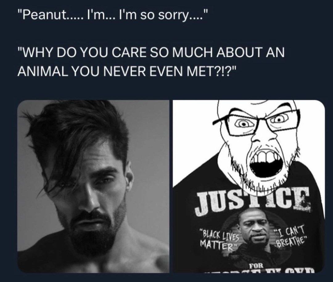 “Peanut..... so "WHY YOU CARE SO MUCH ABOUT AN ANIMAL YOU NEVER EVEN МЕТ?!?" in