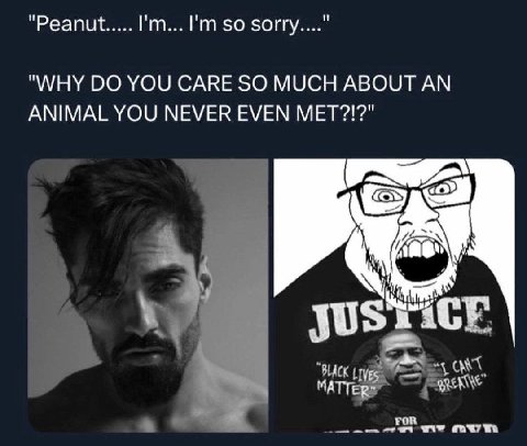 “Peanut..... so "WHY YOU CARE SO MUCH ABOUT AN ANIMAL YOU NEVER EVEN МЕТ?!?" in