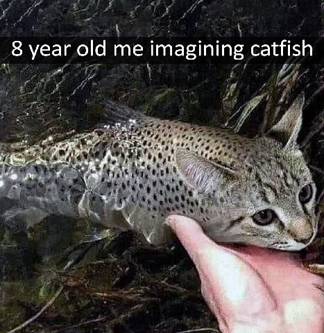 8 year old me imagining catfish