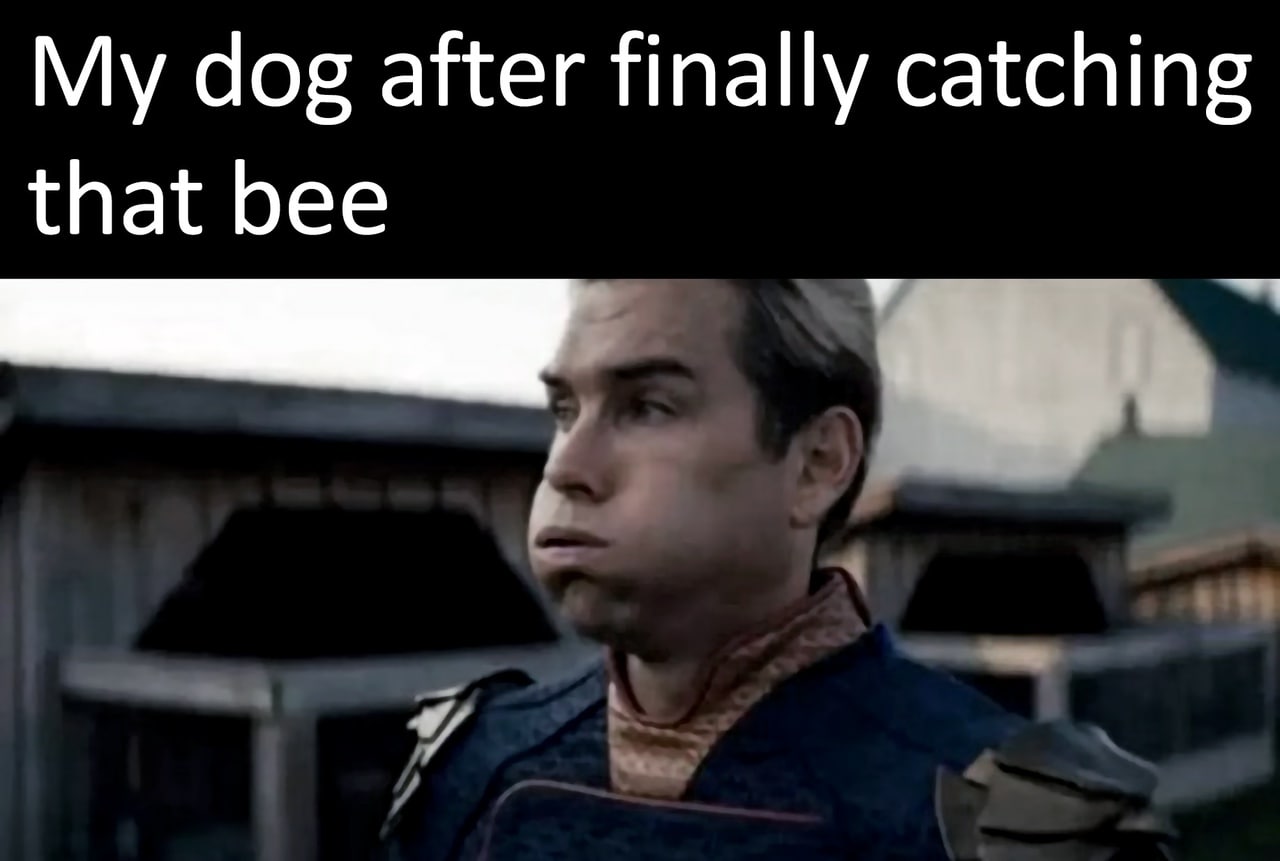 dog after finally catching that bee