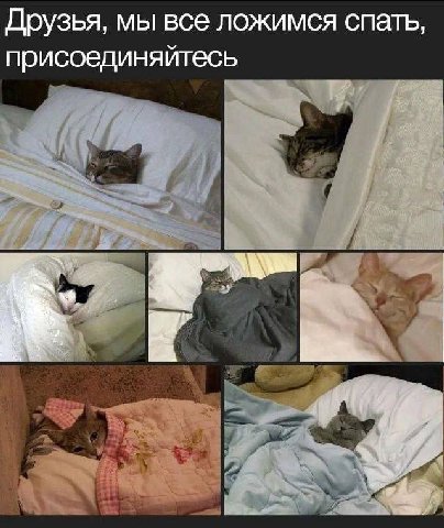 Друзья, мы все ложимся спать, присоединяйтесь