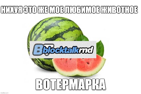 миша для тебя любимый