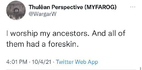 Thuléan Perspective (MYFAROG) @WargarW worship my ancestors. And all of them had a foreskin. 4:01 10/4/21 Twitter Web App
