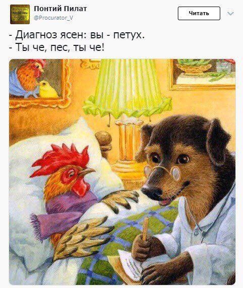 Понтий Пилат Диагноз ясен: вы петух. Ты че, пес, ты че! 7, i