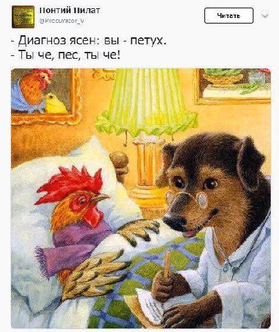 Понтий Пилат Диагноз ясен: вы петух. Ты че, пес, ты че! 7, i