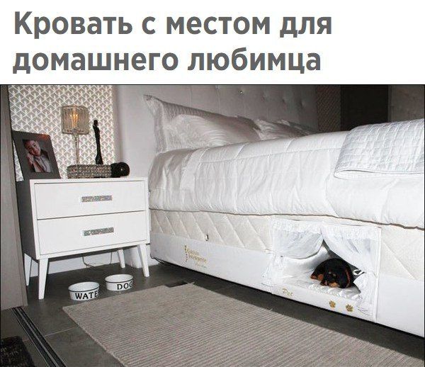 Кровать с местом для домашнего любимца