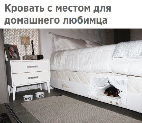 Кровать с местом для домашнего любимца