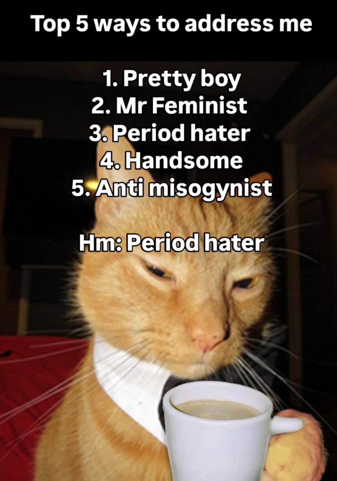 Тор 5 ways to address 1. Pretty boy 2. Feminist 3. Period hater 4. Handsome misogynist Period hater