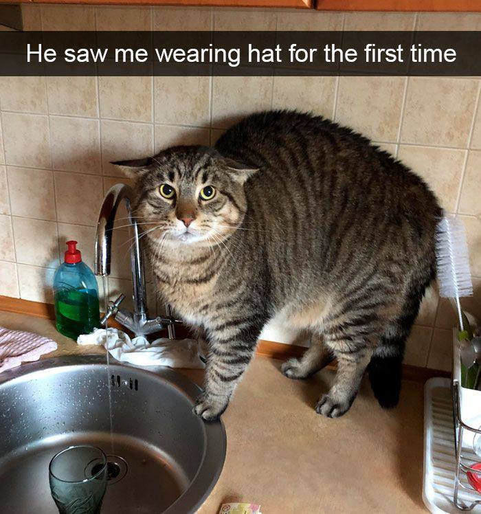 Не saw wearing hat for the first time