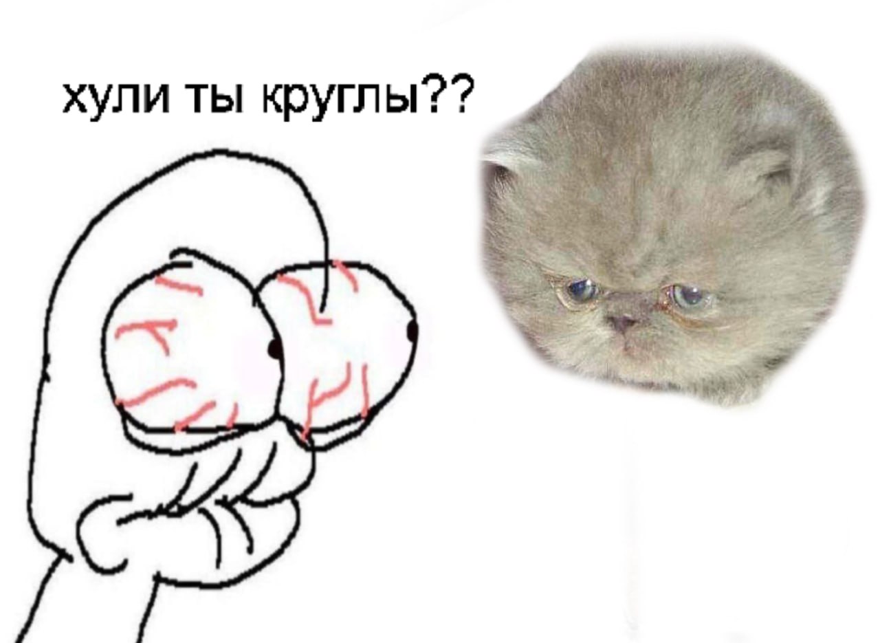 хули ты круглы??