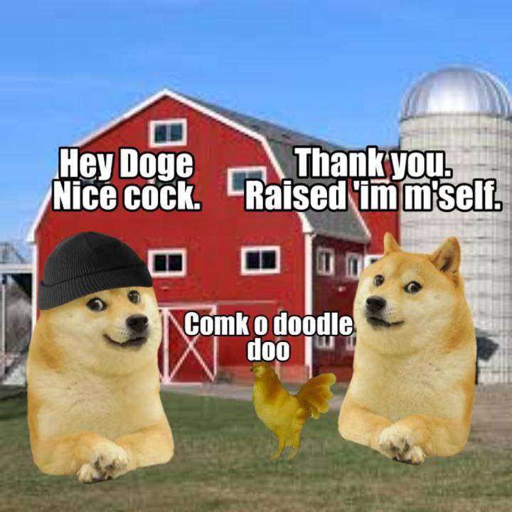 Hey Doge Thank your Nice cock. У Comk у