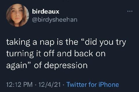 birdeaux @birdysheehan taking a nap is the “did you try turning it off and back on again’ of depression 12:12 12/4/21 Twitter for iPhone