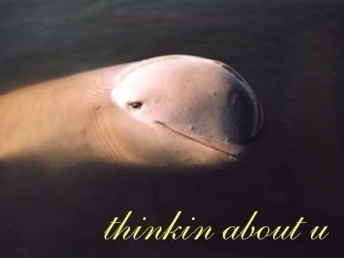 thinkin aboul