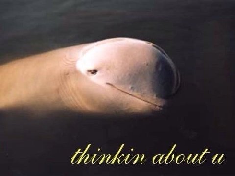 thinkin aboul
