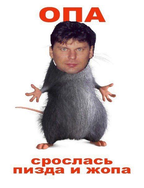 срослась пизда и жопа