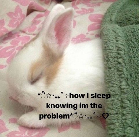 --how knowing problem*