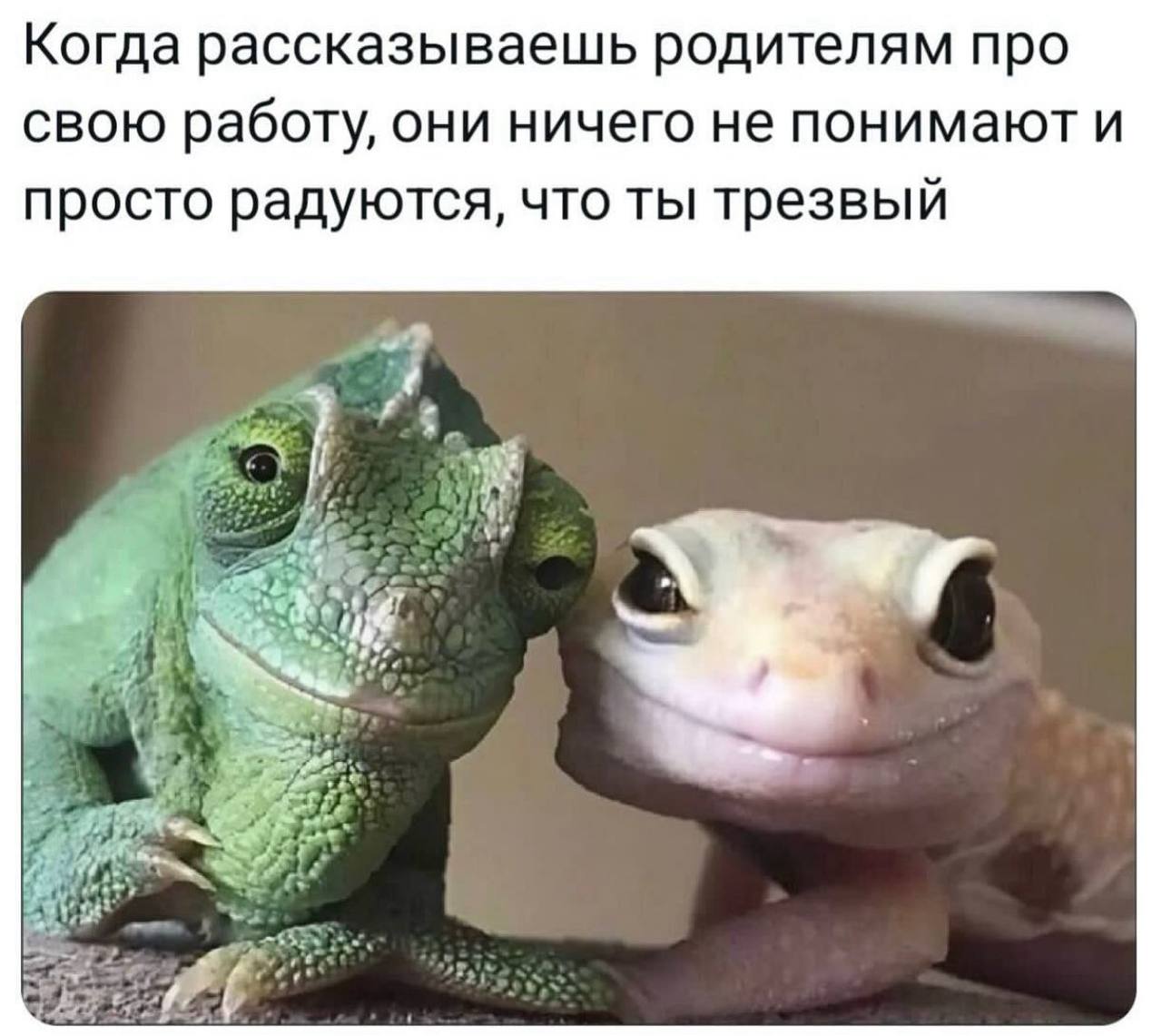 Когда рассказываешь родителям про свою работу, они ничего не понимают и просто радуются, что ты трезвый Я