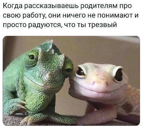 Когда рассказываешь родителям про свою работу, они ничего не понимают и просто радуются, что ты трезвый Я
