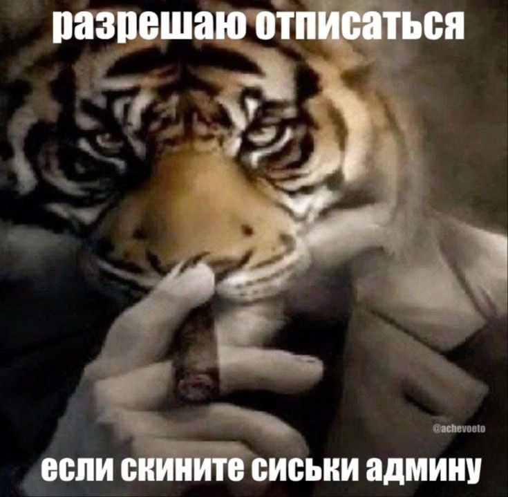 разрешаю отписаться если сиськи админу