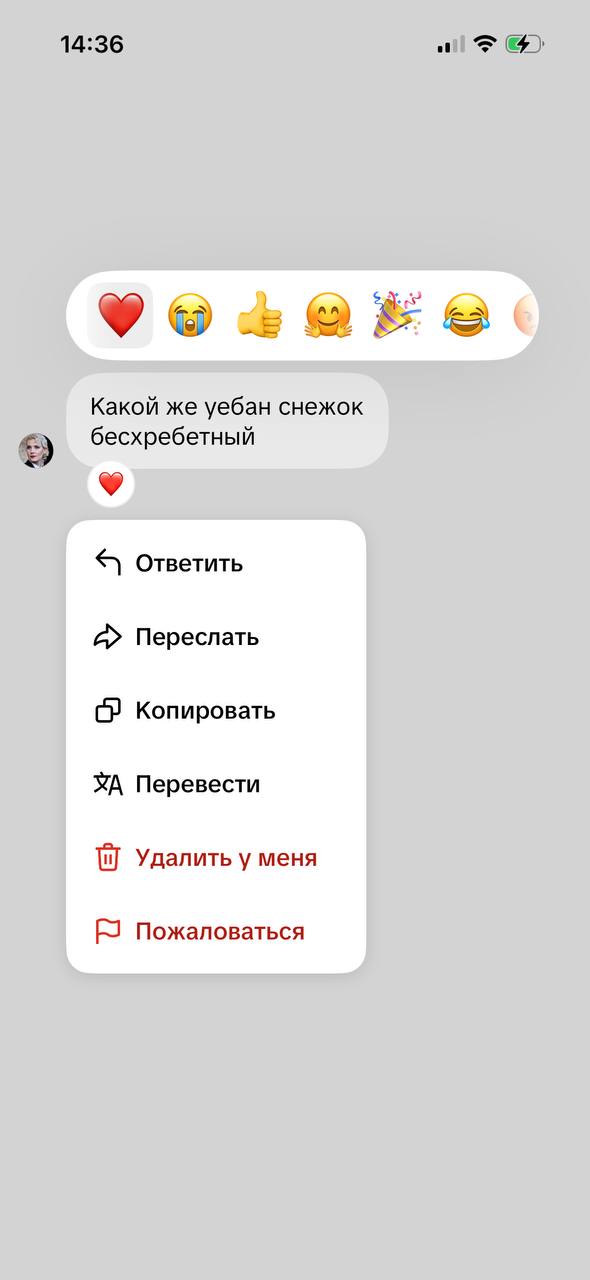 я фанат жанра кирюша обзывается