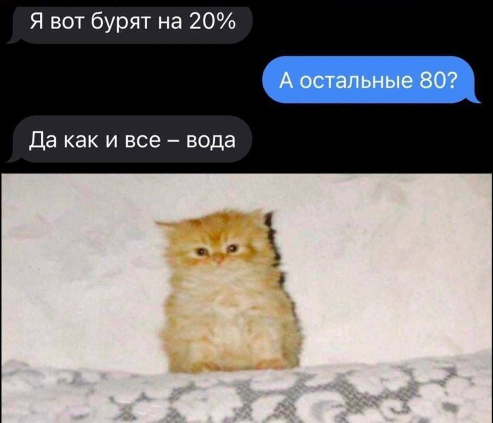 Я вот бурят на 20% А остальные 80? Да как и все вода a a wet