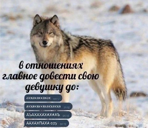 4 у главное довести свою девушку до: аххахаххахаххахха АЪАХАХАХАХАХЪ ААХАХПАХА ору