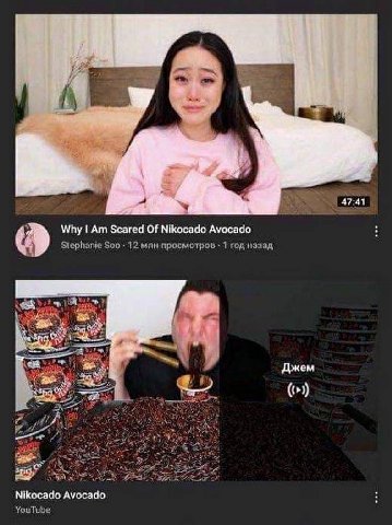 47:41 Why Scared Of Nikocado Avocado Stephanie Soo- 12 млн просмотров 1 год назэд a Джем 2-18 Nikocado Avocado YouTube