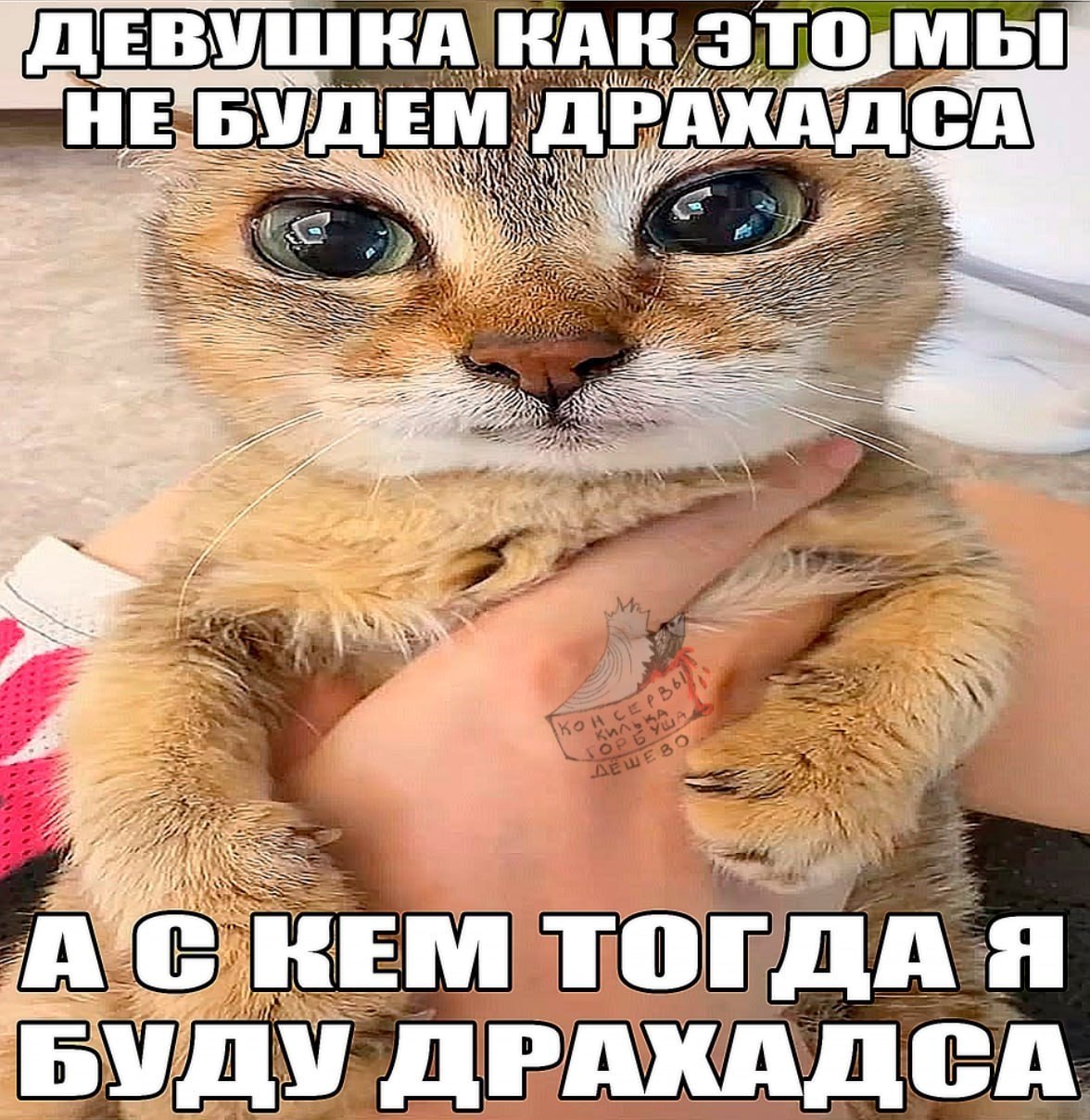 у ДЕВУШКА КАК 5 AN 2 4 5588 A 7 A я К у