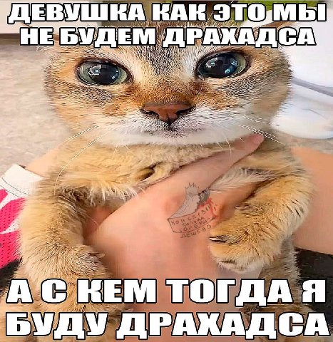 у ДЕВУШКА КАК 5 AN 2 4 5588 A 7 A я К у