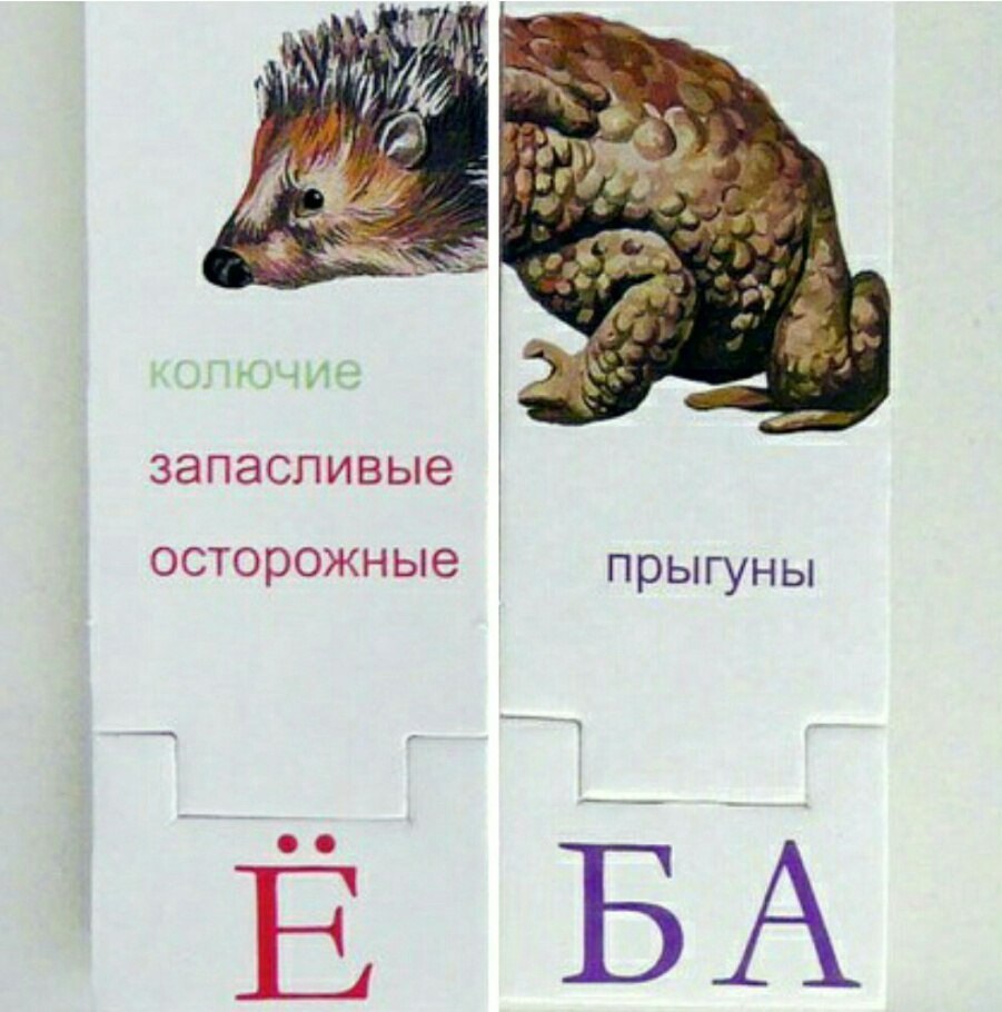 запасливые осторожные прыгуны