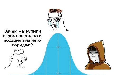 Зачем мы купили огромное дилдо и посадили на него пориджа?