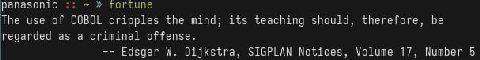 The use of COBOL cripples the mind; its teaching should, therefore, be regarded as a criminal offense. Edsger Dijkstra, SIGPLAN Notices, Volume 17, Number 5