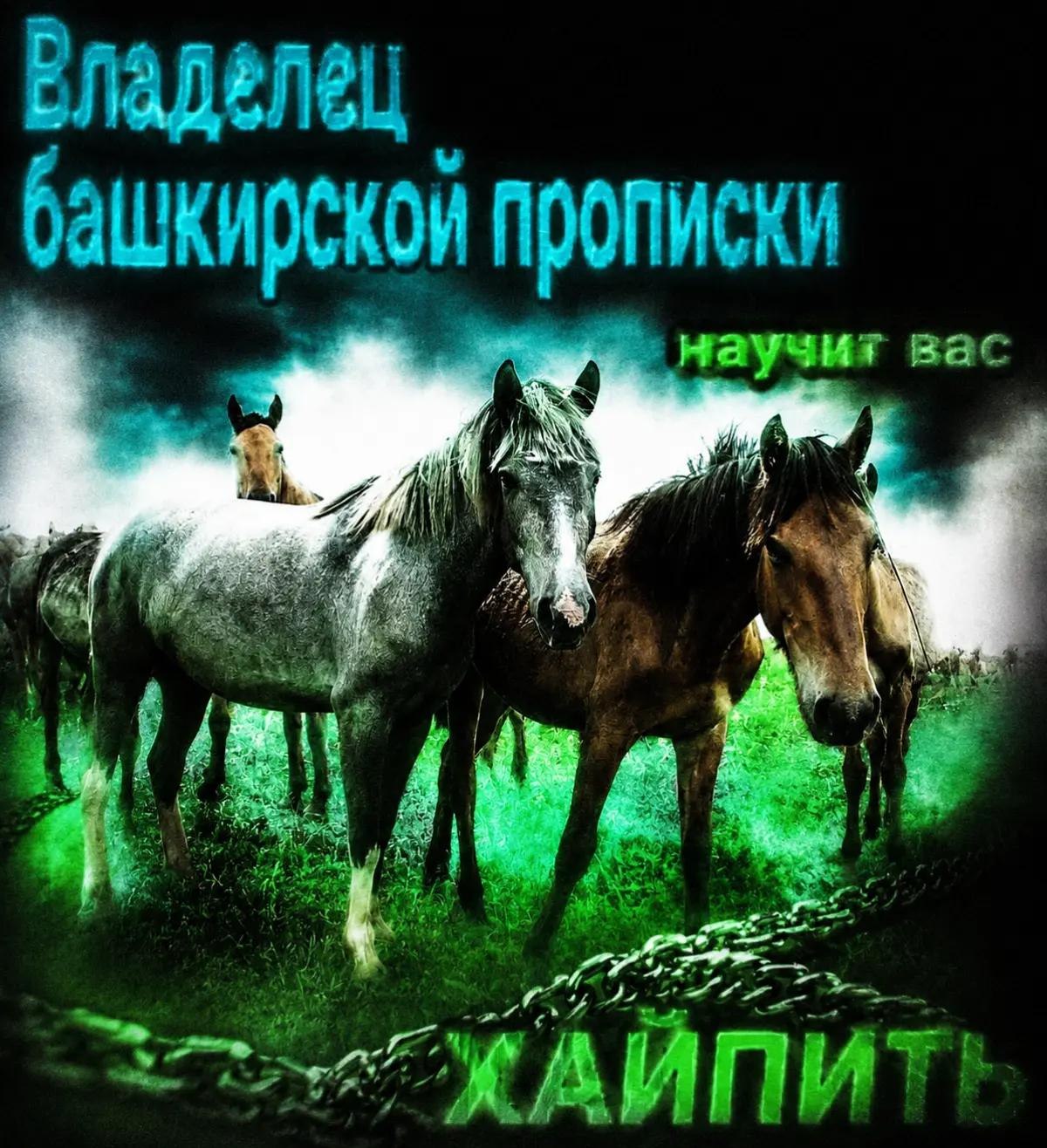 Владелец башкирской прописку научит вас he 4 ayy got АЙП