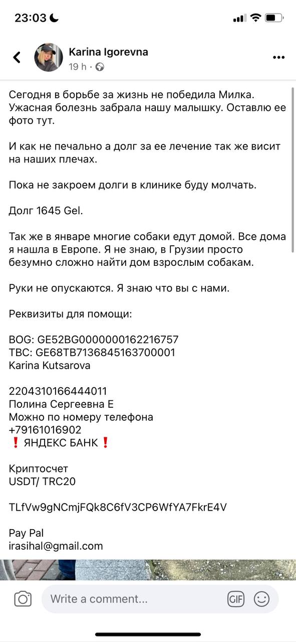 23:03 Karina Сегодня в борьбе за жизнь не победила Милка. Ужасная болезнь забрала нашу малышку. Оставлю ее фото тут. И как не печально а долг за ее лечение так же висит на наших плечах. Пока не закрое