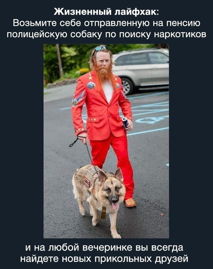 Жизненный лайфхак: Возьмите себе отправленную на пенсию полицейскую собаку по поиску наркотиков AS А к и на любой вечеринке вы всегда найдете новых прикольных друзей