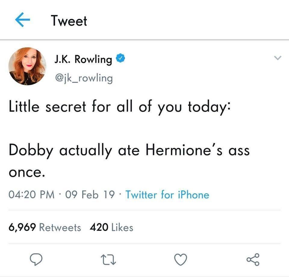 Tweet К. Rowling У Little secret for all of you today: Dobby actually ate Hermione’s ass once. 04:20 09 Feb 19 Twitter for iPhone 6,969 Retweets 420 Likes