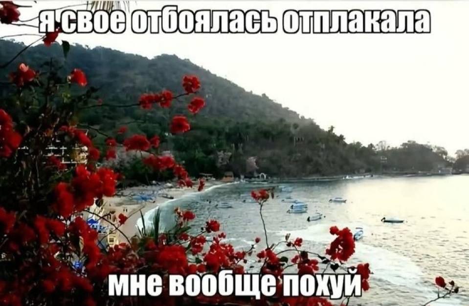 свое 4 4 2. мне
