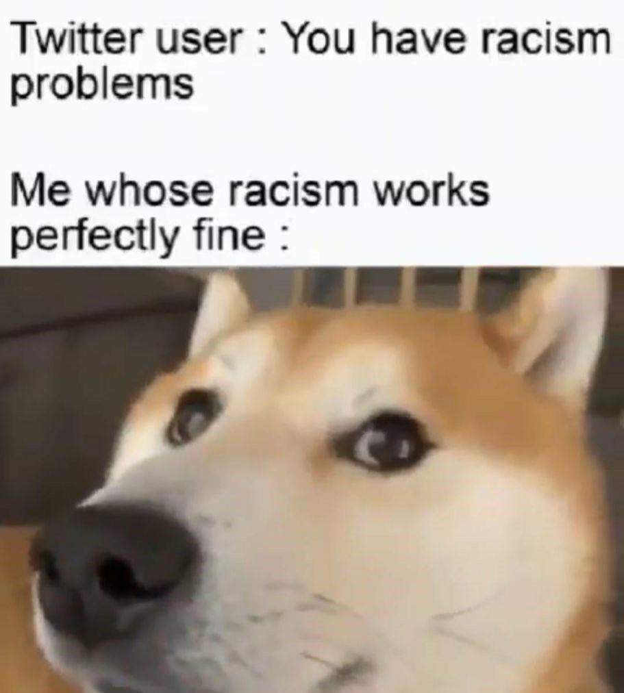 Twitter user You have racism problems Me whose racism works perfectly fine